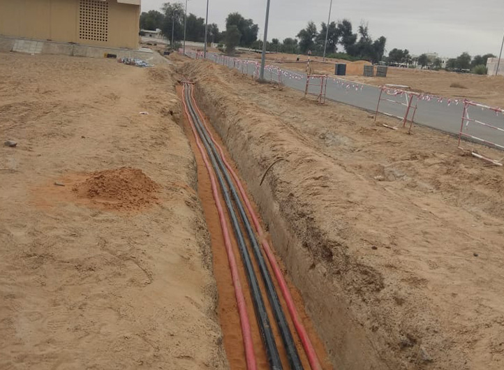 Power Networks Division