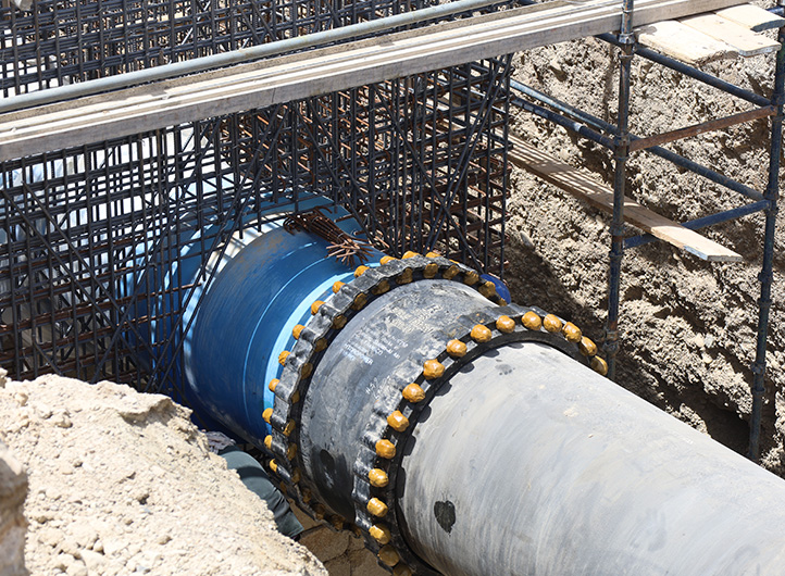 Water Networks Division