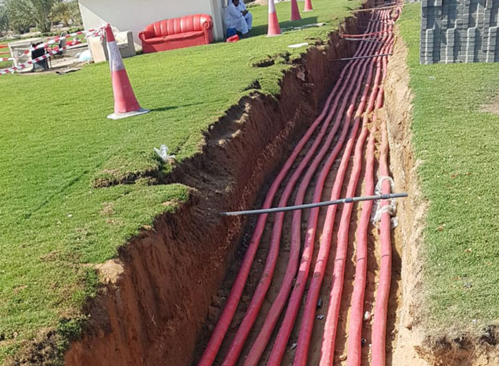 Power Networks Division